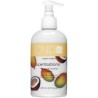 Mangue & Noix de coco 245 ml