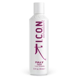 Fully shampooing antioxydant 250 ml