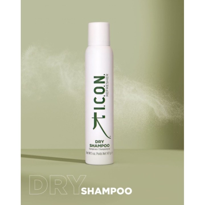 Dry Shampoo 147g